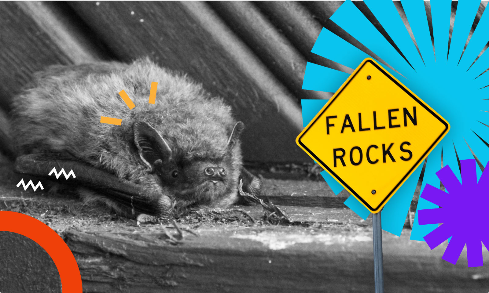 Co zrobić jeżeli masz zawirusowaną stronę WordPress