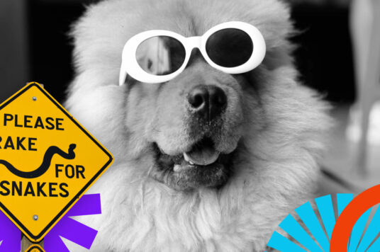 Studium przypadku infekcji WordPress -letsmakeparty3 i sdfsd234