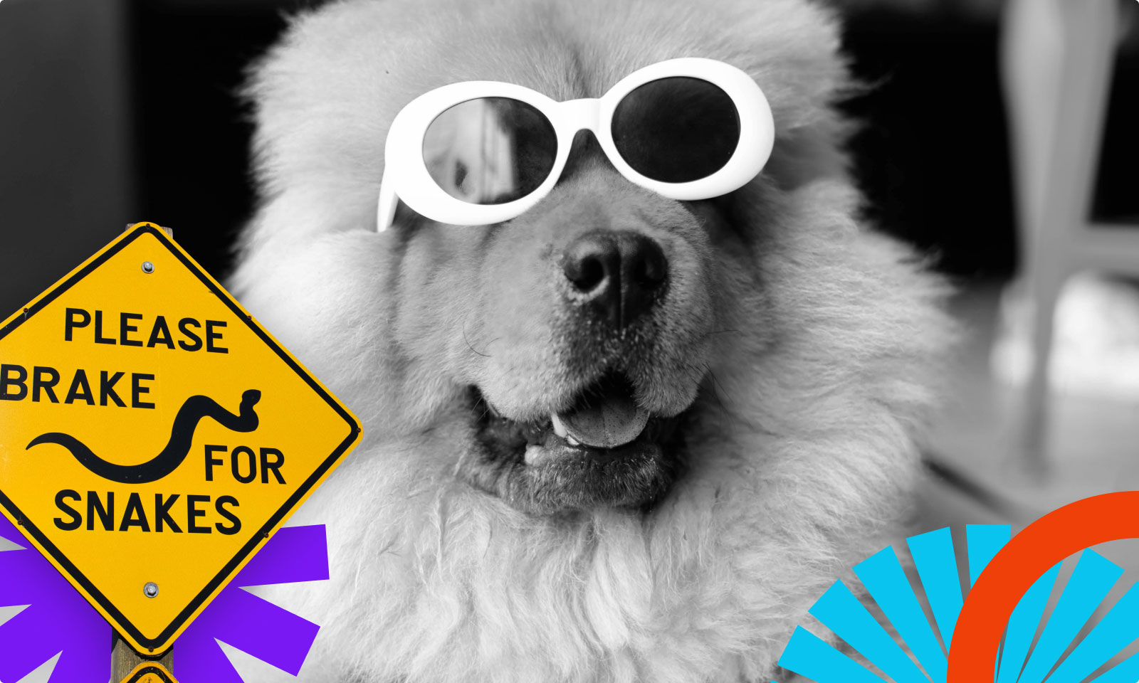 Studium przypadku infekcji WordPress -letsmakeparty3 i sdfsd234