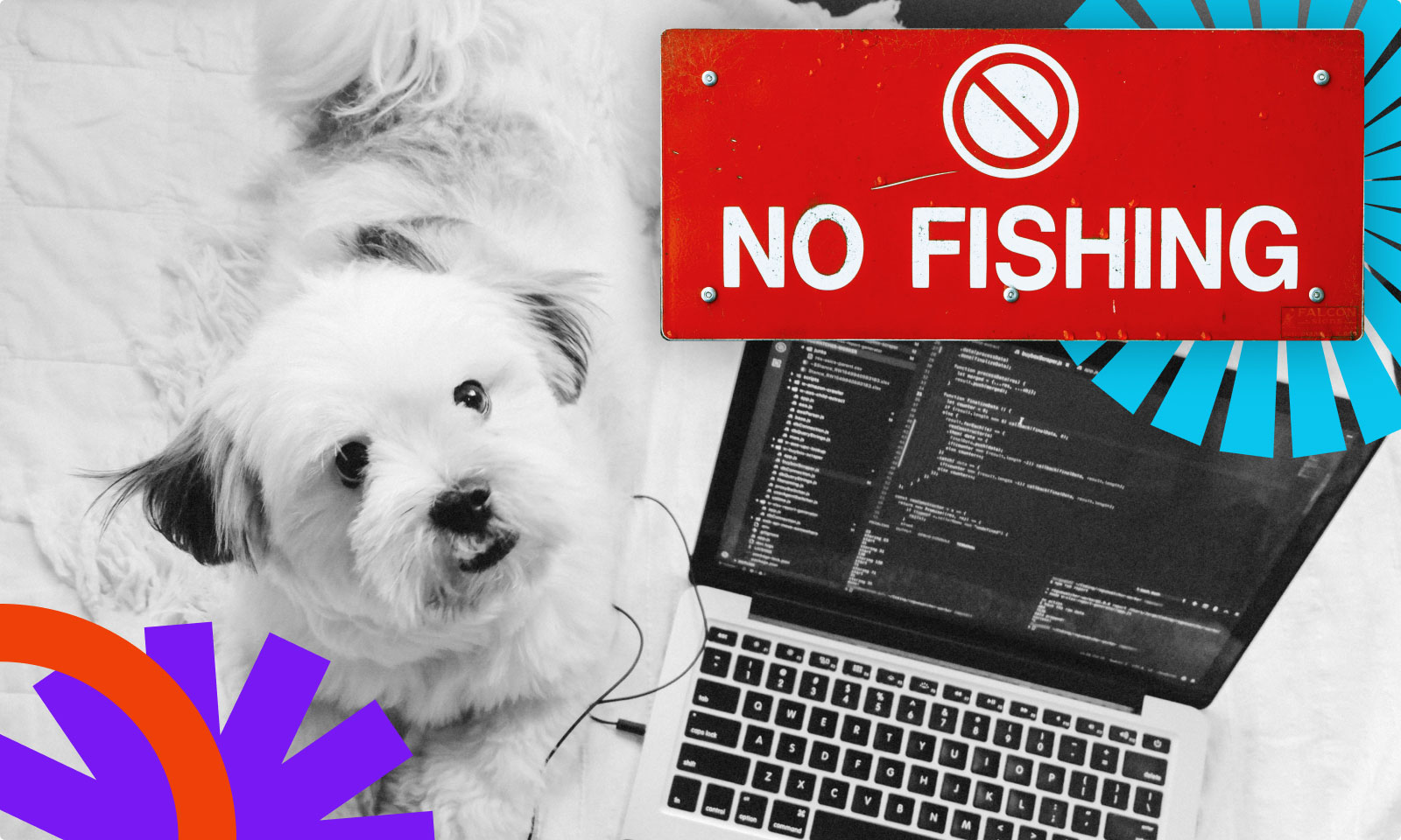 Podatność w WooCommerce Dynamic Pricing and Discounts